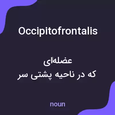 معنی occipitofrontalis به فارسی معنی occipitofrontalis به فارسی