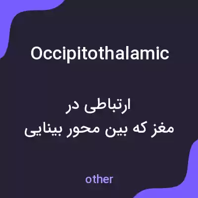 معنی occipitothalamic به فارسی