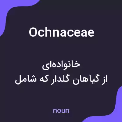 معنی ochnaceae به فارسی معنی ochnaceae به فارسی