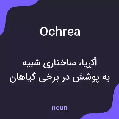 معنی ochrea به فارسی معنی ochrea به فارسی