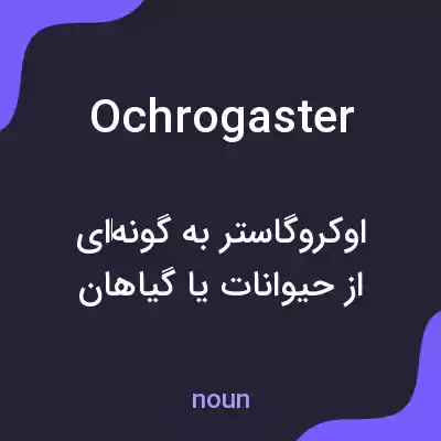 معنی ochrogaster به فارسی معنی ochrogaster به فارسی