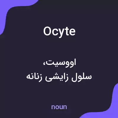 معنی ocyte به فارسی معنی ocyte به فارسی