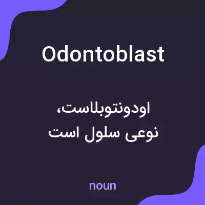 معنی odontoblast به فارسی معنی odontoblast به فارسی