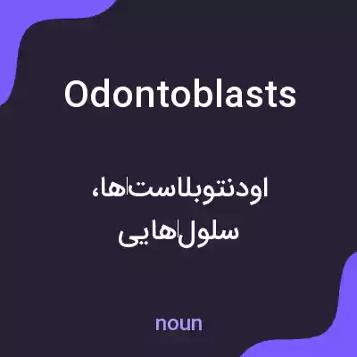 معنی odontoblasts به فارسی معنی odontoblasts به فارسی