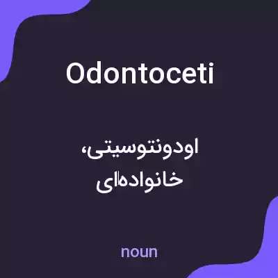 معنی odontoceti به فارسی