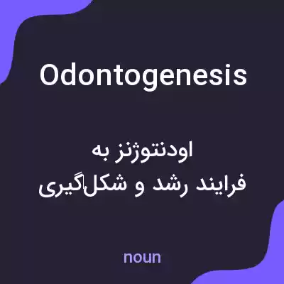 معنی odontogenesis به فارسی معنی odontogenesis به فارسی