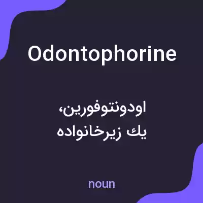 معنی odontophorine به فارسی معنی odontophorine به فارسی