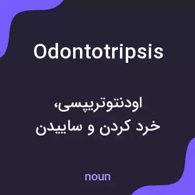 معنی odontotripsis به فارسی معنی odontotripsis به فارسی