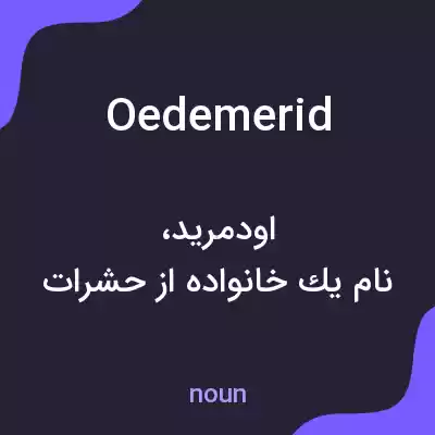 معنی oedemerid به فارسی معنی oedemerid به فارسی