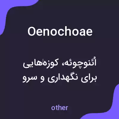 معنی oenochoae به فارسی معنی oenochoae به فارسی