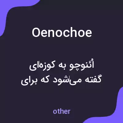 معنی oenochoe به فارسی معنی oenochoe به فارسی