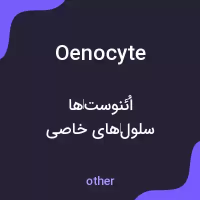معنی oenocyte به فارسی معنی oenocyte به فارسی