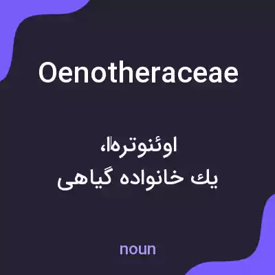 معنی oenotheraceae به فارسی معنی oenotheraceae به فارسی