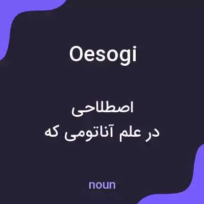 معنی oesogi به فارسی معنی oesogi به فارسی