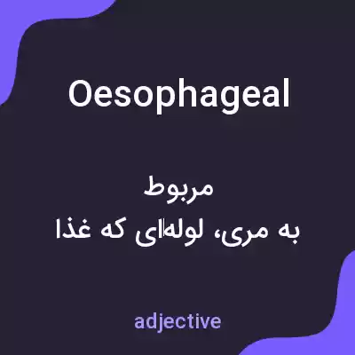 معنی oesophageal به فارسی معنی oesophageal به فارسی