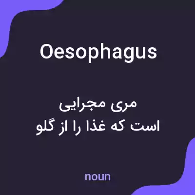 معنی oesophagus به فارسی معنی oesophagus به فارسی