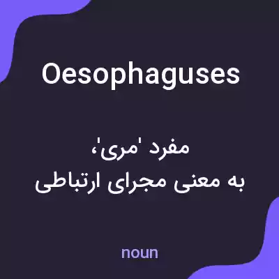 معنی oesophaguses به فارسی معنی oesophaguses به فارسی