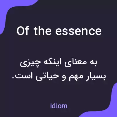 معنی of the essence به فارسی معنی of the essence به فارسی
