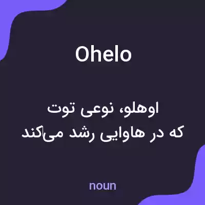 معنی ohelo به فارسی معنی ohelo به فارسی