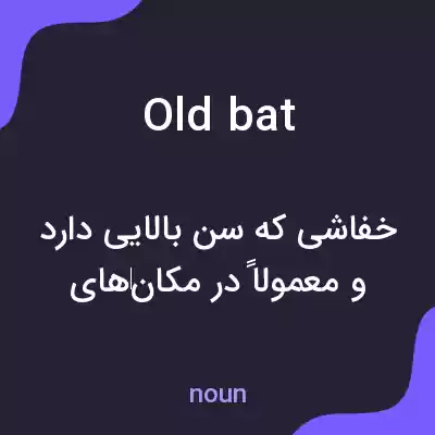 معنی old bat به فارسی معنی old bat به فارسی