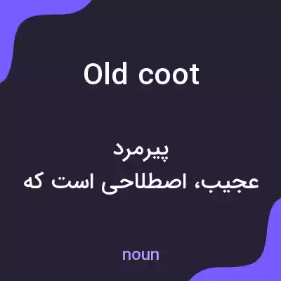 معنی old coot به فارسی معنی old coot به فارسی