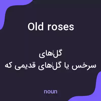 معنی old roses به فارسی