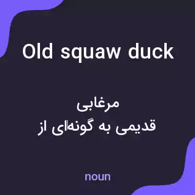 معنی old squaw duck به فارسی معنی old squaw duck به فارسی