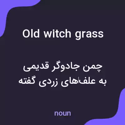 معنی old witch grass به فارسی معنی old witch grass به فارسی