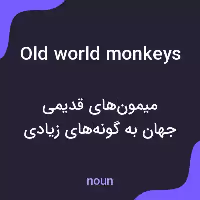 معنی old world monkeys به فارسی معنی old world monkeys به فارسی