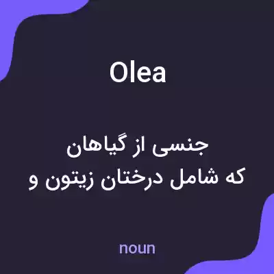 معنی olea به فارسی معنی olea به فارسی
