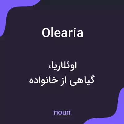 معنی olearia به فارسی معنی olearia به فارسی