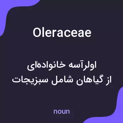 معنی oleraceae به فارسی معنی oleraceae به فارسی