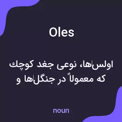 معنی oles به فارسی معنی oles به فارسی