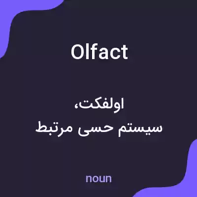 معنی olfact به فارسی معنی olfact به فارسی