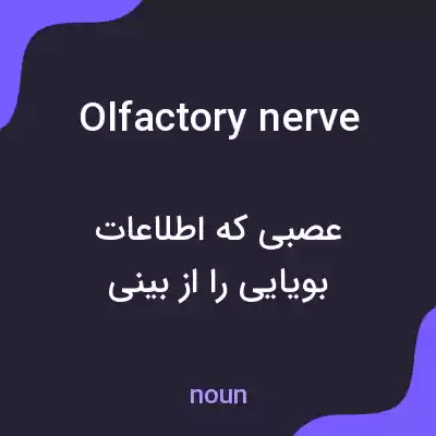 معنی olfactory nerve به فارسی معنی olfactory nerve به فارسی
