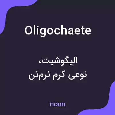 معنی oligochaete به فارسی