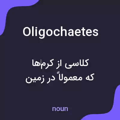 معنی oligochaetes به فارسی معنی oligochaetes به فارسی
