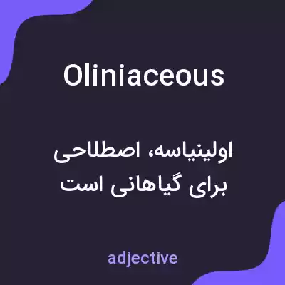 معنی oliniaceous به فارسی معنی oliniaceous به فارسی