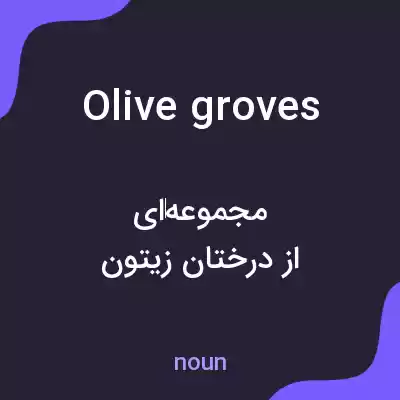 معنی olive groves به فارسی