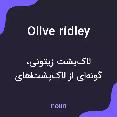 معنی olive ridley به فارسی معنی olive ridley به فارسی