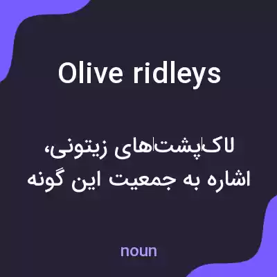 معنی olive ridleys به فارسی معنی olive ridleys به فارسی