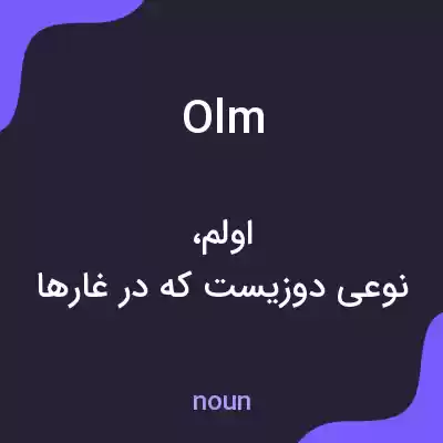 معنی olm به فارسی معنی olm به فارسی