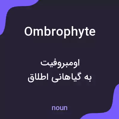 معنی ombrophyte به فارسی معنی ombrophyte به فارسی
