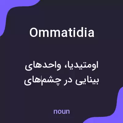 معنی ommatidia به فارسی معنی ommatidia به فارسی
