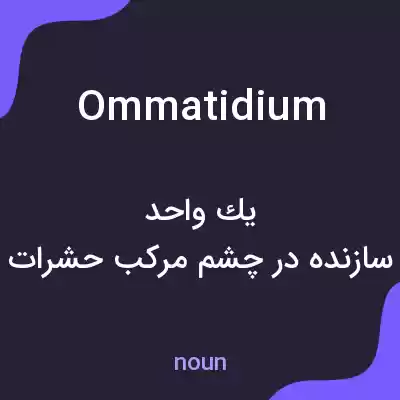 معنی ommatidium به فارسی معنی ommatidium به فارسی