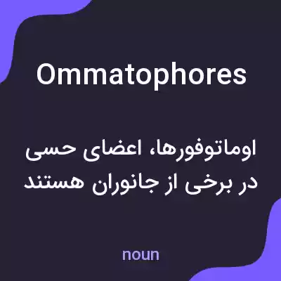 معنی ommatophores به فارسی