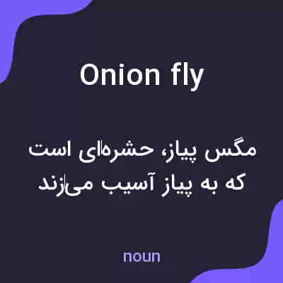 معنی onion fly به فارسی معنی onion fly به فارسی