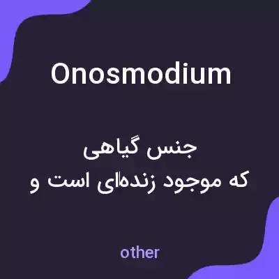 معنی onosmodium به فارسی معنی onosmodium به فارسی