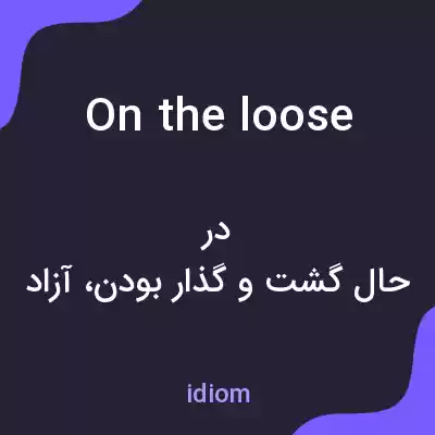معنی on the loose به فارسی معنی on the loose به فارسی
