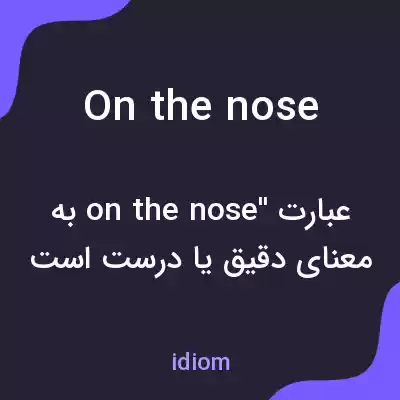 معنی on the nose به فارسی معنی on the nose به فارسی